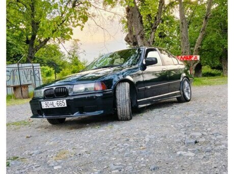 BMW 323
