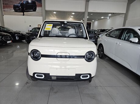 Geely Geometry Panda Mini