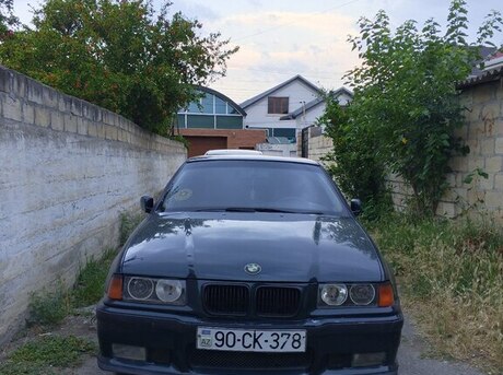 BMW 316