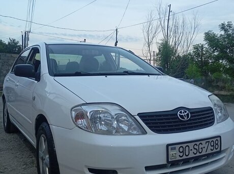 Toyota Corolla