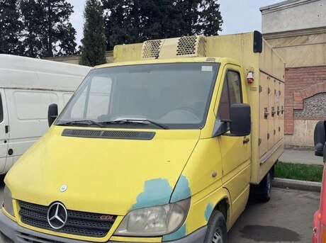 Mercedes Sprinter 313