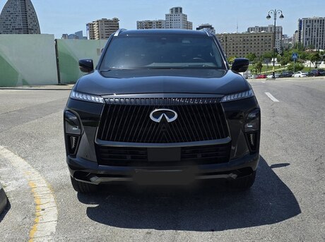 Infiniti QX80 2024