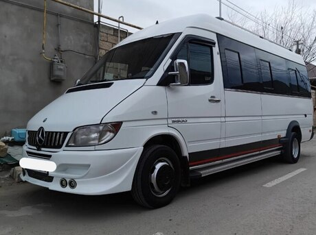 Mercedes Sprinter 313