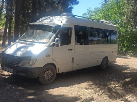 Mercedes Sprinter 313