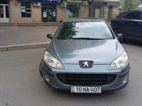 Peugeot 407
