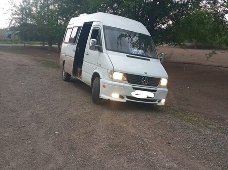 Mercedes Sprinter 209