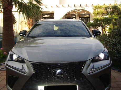 Lexus NX 300