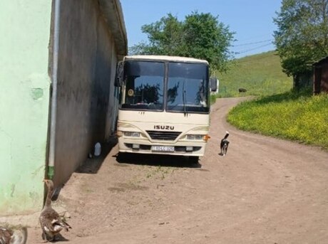 Isuzu MD 22 B