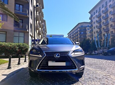 Lexus NX 300