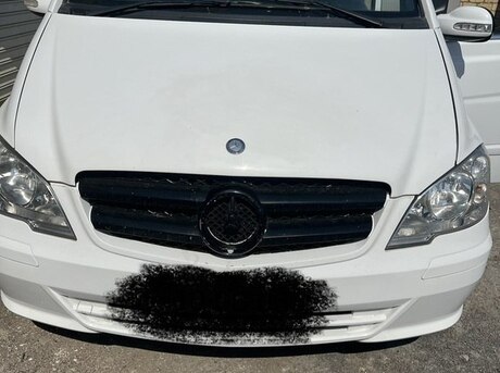 Mercedes Viano