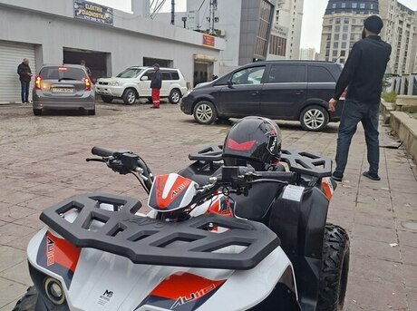Kayo Mini Bull AU110
