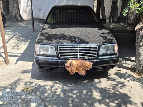 Mercedes S 320