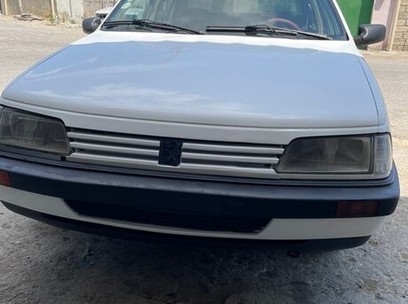 Peugeot 405