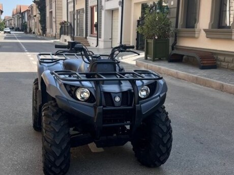 Yamaha Grizzly 450