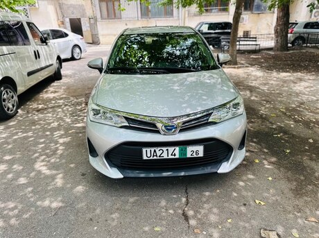 Toyota Corolla Fielder