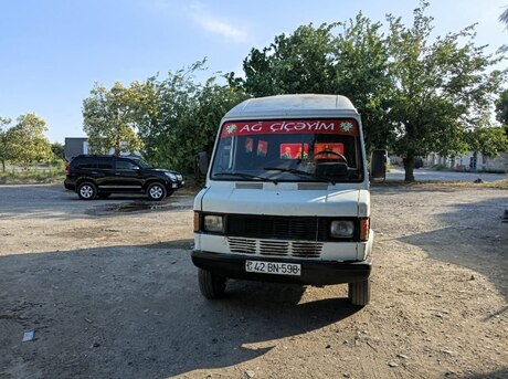 Mercedes 208 D