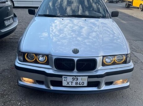 BMW 323