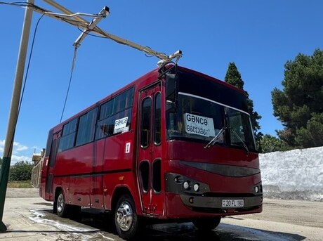 Isuzu Ecobus