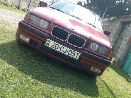 BMW 318