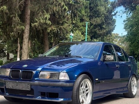 BMW 316