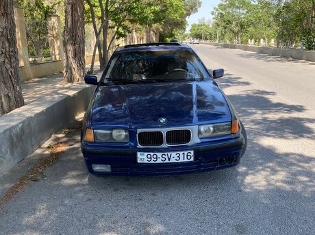 BMW 316