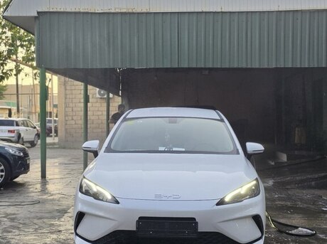 BYD  2025