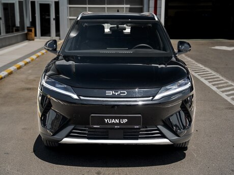 BYD  2026