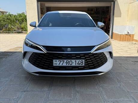BYD  2024