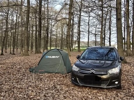Citroen C4 2013