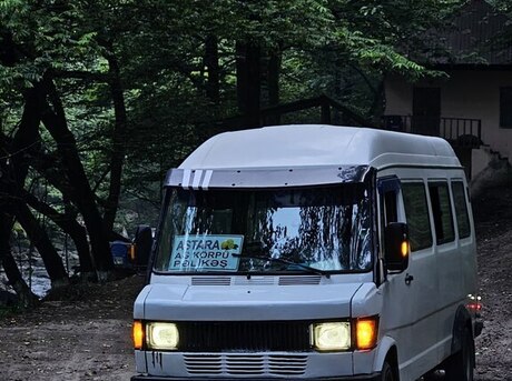 Mercedes 410 D 1992