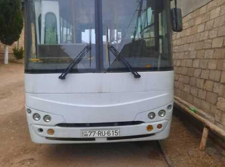 Isuzu Ecobus 2012