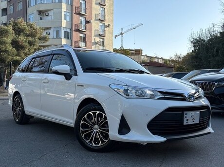 Toyota Corolla Fielder 2019