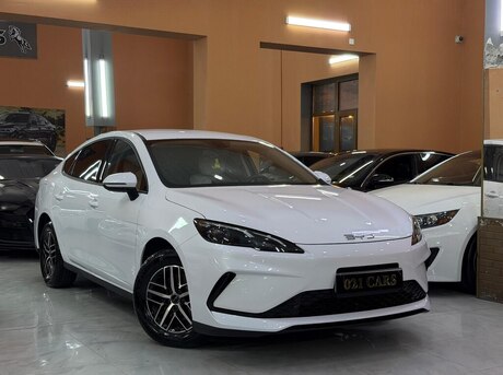 BYD  2025