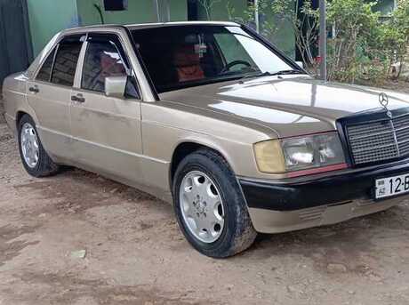 Mercedes 190 1991