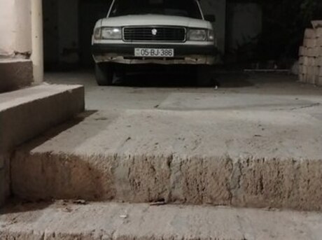 GAZ 31029 1993
