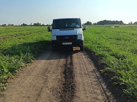 Ford Transit 2008