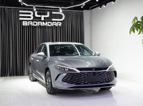 BYD  2025