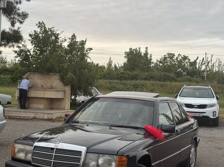 Mercedes 190 1991