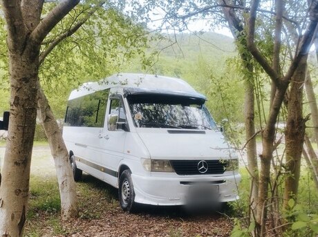 Mercedes Sprinter 313 1999