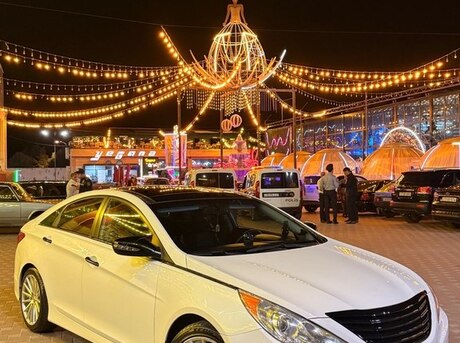 Hyundai Sonata 2014