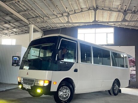 Mitsubishi Rosa 2008