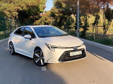 Toyota  2024