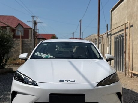 BYD  2025