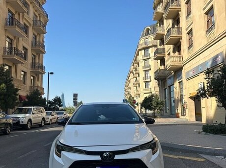 Toyota Corolla 2019