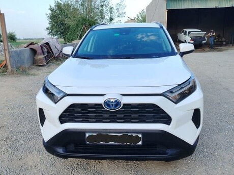 Toyota RAV4 2024