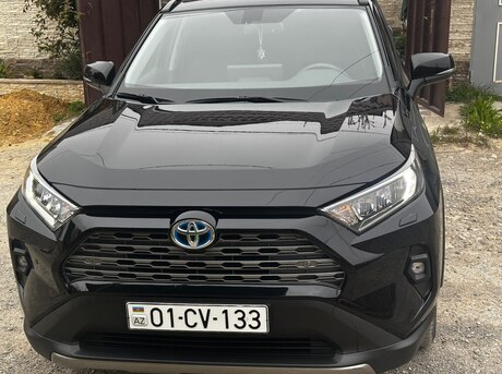 Toyota RAV4 2024