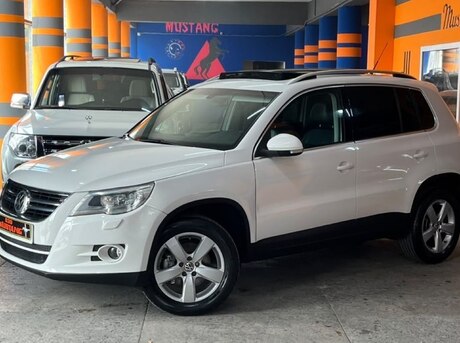 Volkswagen Tiguan 2010