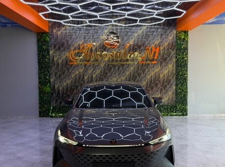 Changan  2025