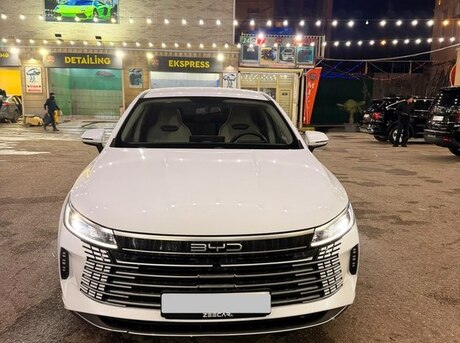 BYD Destroyer 05 2024