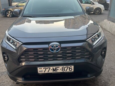 Toyota RAV4 2023